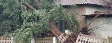 В Болградском районе пронесся ураган: срывало крыши и валило деревья 